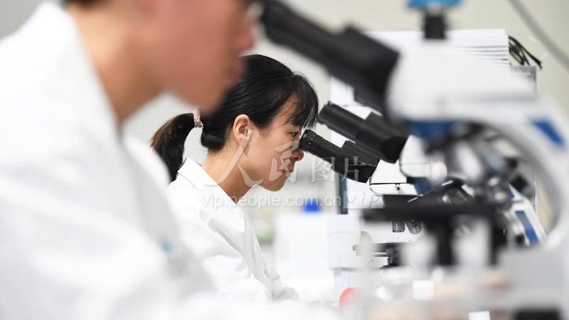 引物合成：确保PCR实验精准的基石