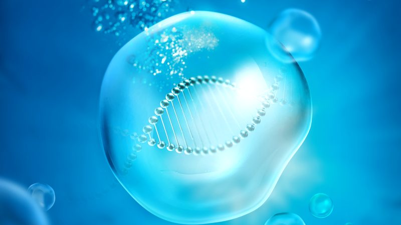 哺乳动物细胞培养基：型号规格差异解析**