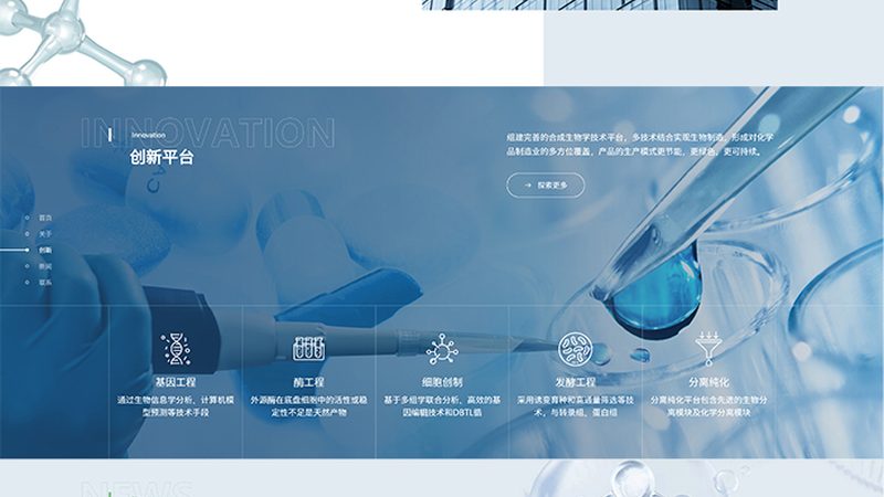 人体内酶的神秘来源：揭秘生物合成之路**