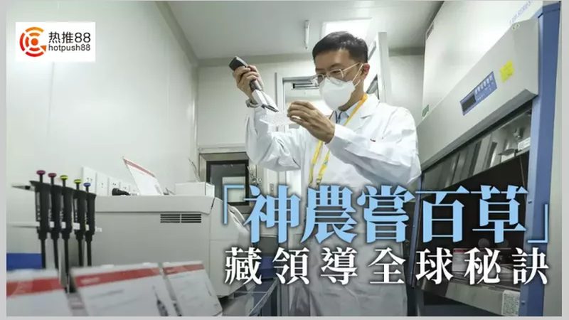 PCR试剂盒：揭秘其背后的资质要求与选择要点