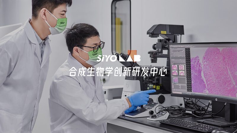 基因检测与基因筛查：儿童健康守护的“双剑合璧