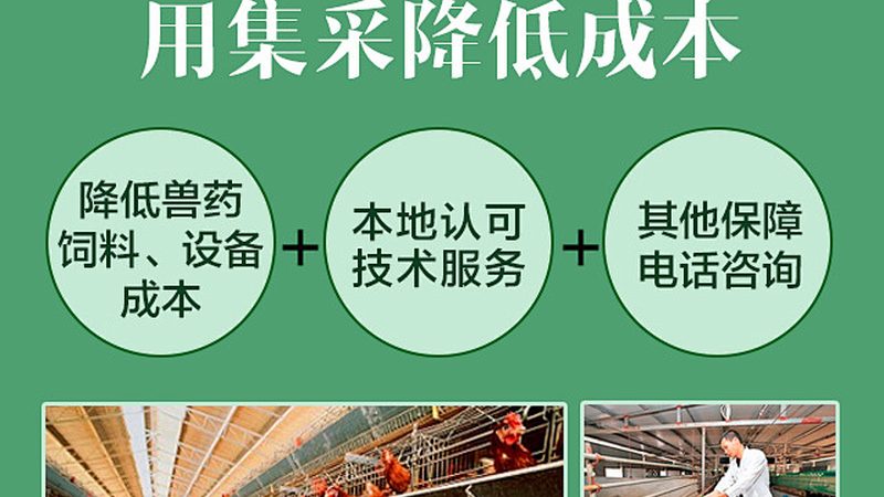 仿制药一致性评价，关键在于精准与合规**