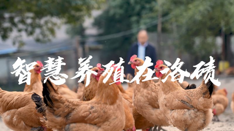 实验室耗材与普通耗材：揭秘十大品牌背后的差异