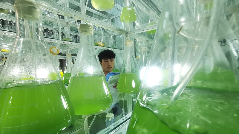 生物科技公司产品研发：揭秘参数方法与关键步骤**